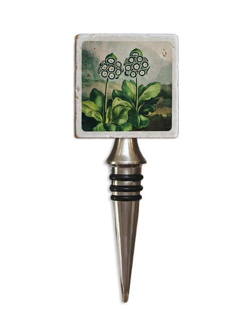 Temple of Flora Wine Stop Auriculas