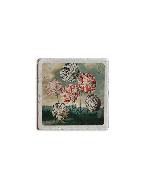 Temple of Flora Magnet Carnations