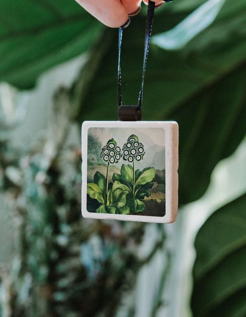 Temple of Flora Ornament Auriculas