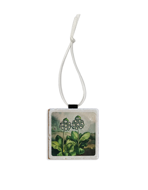 Temple of Flora Ornament Auriculas