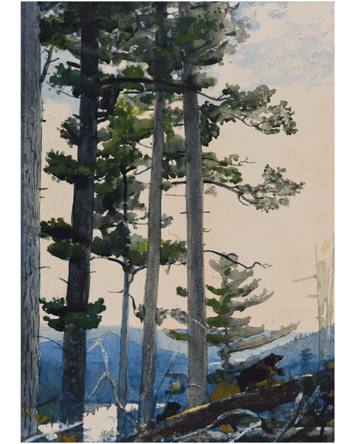 MFA Old Settlers Holiday Cards