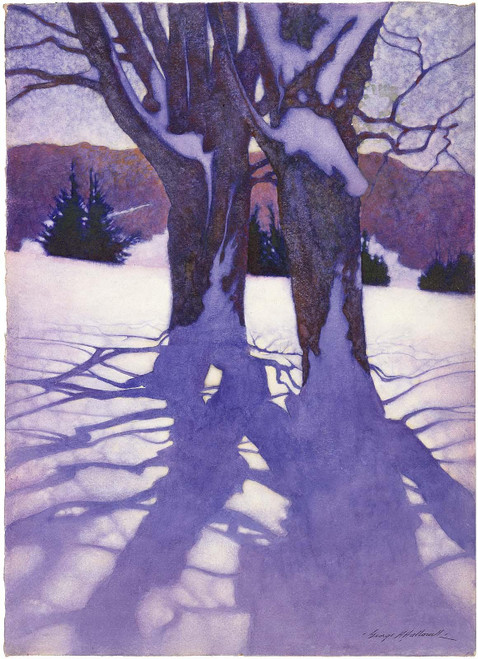 MFA Trees in Winter Holiday Cards