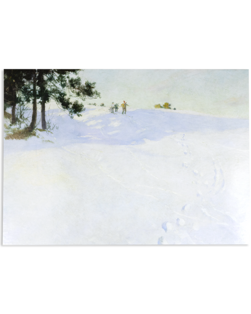 MFA Skiers at the Top of a Snow-covered Hill Holiday Cards