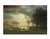 Bierstadt The Buffalo Trail 11x14  Matted Print
