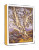 William Rice Western Sycamore Thank You Notecards