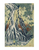 Hokusai Falling Mist Waterfall at Mount Kurokami 11x14 Matted Print