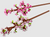 LEGO® Cherry Blossoms