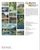 Monet 2026 Mini Wall Calendar