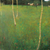 Klimt Landscapes 2026 Wall Calendar