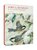 John Ruthven Black-capped Chickadees Holiday Cards