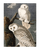 Audubon Snowy Owl 300 Piece Puzzle