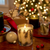 Frasier Fir Poured Candle