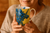 Van Gogh Irises Latte Mug