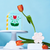 Soap Tulip