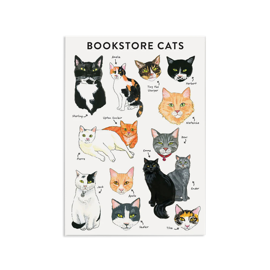 Bookstore Cats Journal