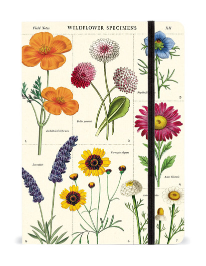 Wildflowers Large Notebook