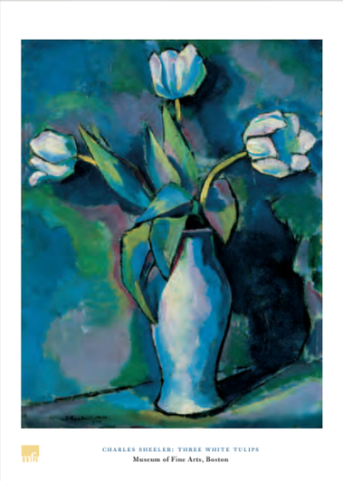 Sheeler Three White Tulips Poster