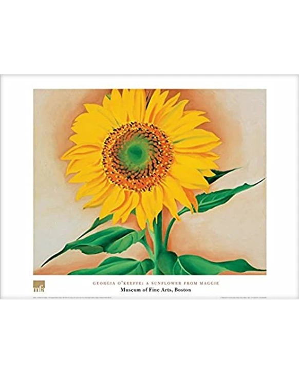 Georgia O'Keeffe, A  Sunflower from Maggie Poster