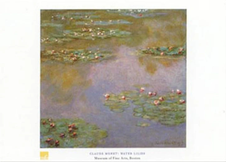 Claude Monet, Water Lilies, 1907 Poster
