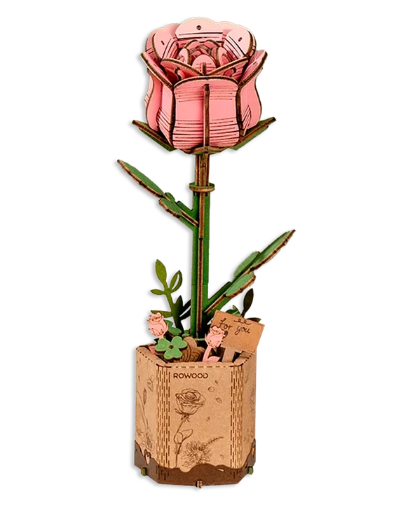 Pink Rose Bloom