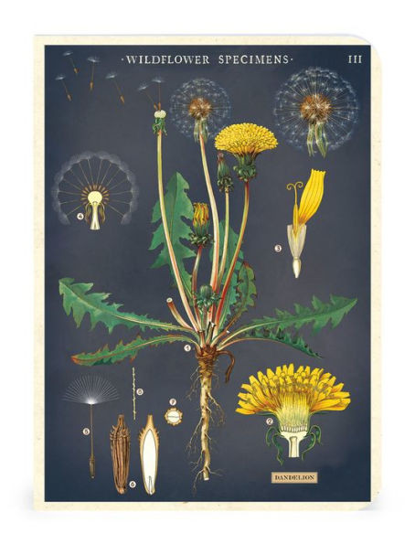 Wildflowers Notebooks 3