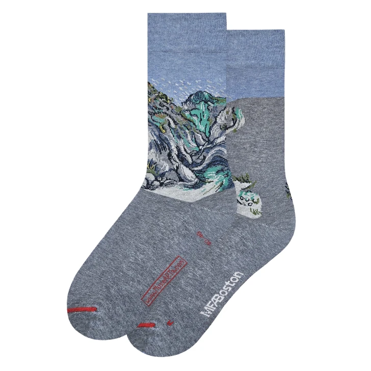 Van Gogh Ravine Women's Socks