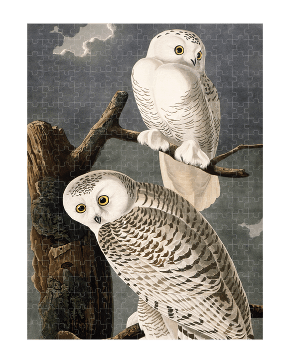 Audubon Snowy Owl 300 Piece Puzzle