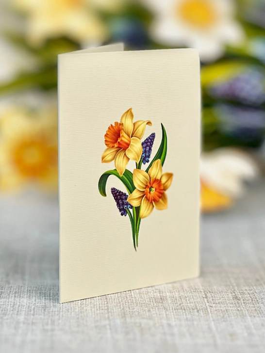 Mini English Daffodils Pop-up Bouquet