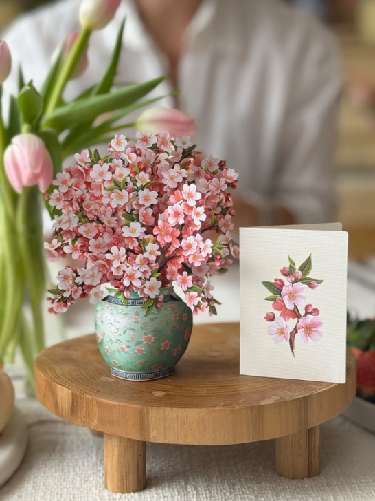 Mini Japanese Cherry Blossom Pop-up Bouquet