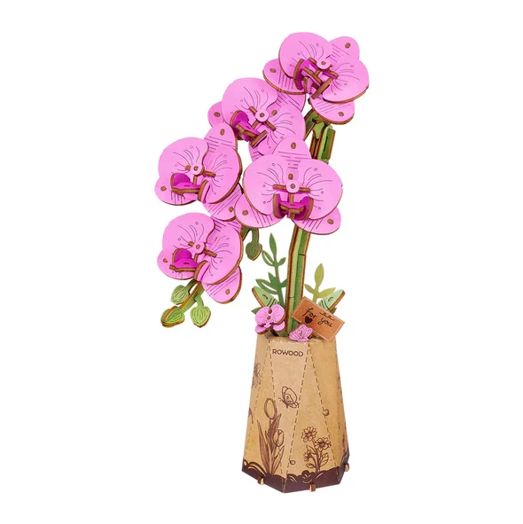 Purple Moth Orchid Kit