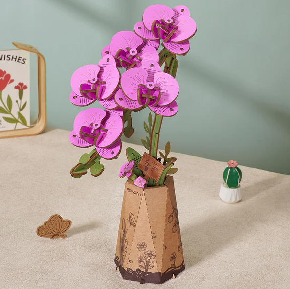 Purple Moth Orchid Kit