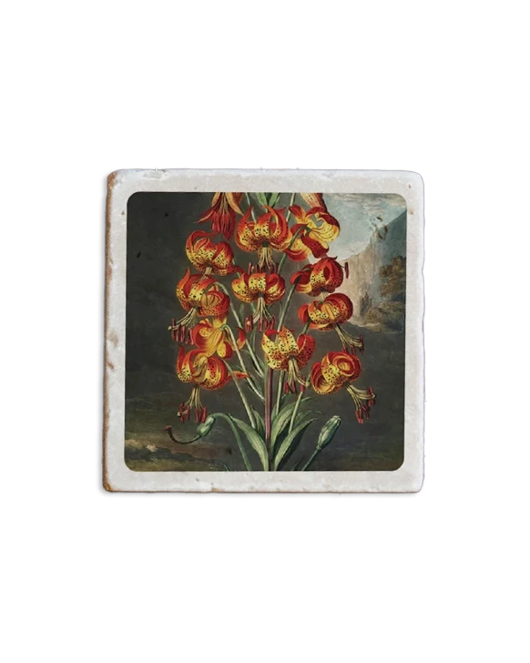 Temple of Flora Coaster Lilies