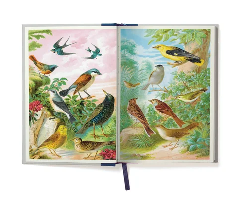 Bird Watching Window Journal