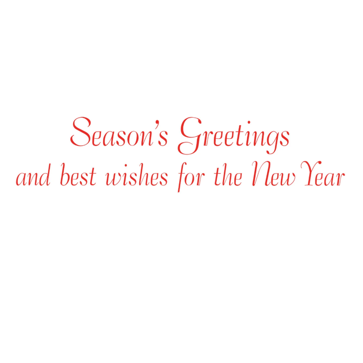 Amaryllis Illuminated Holiday Cards