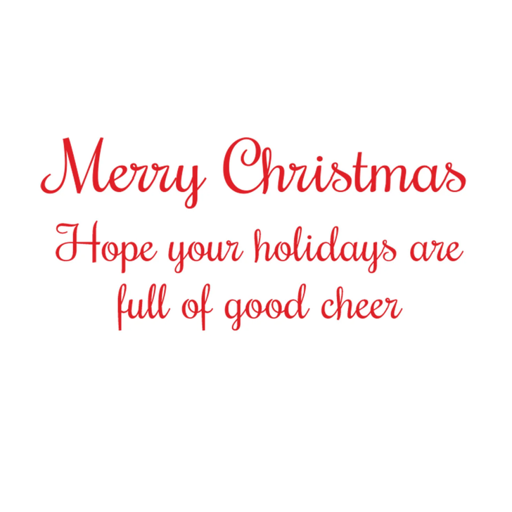Snowy Santa Holiday Cards
