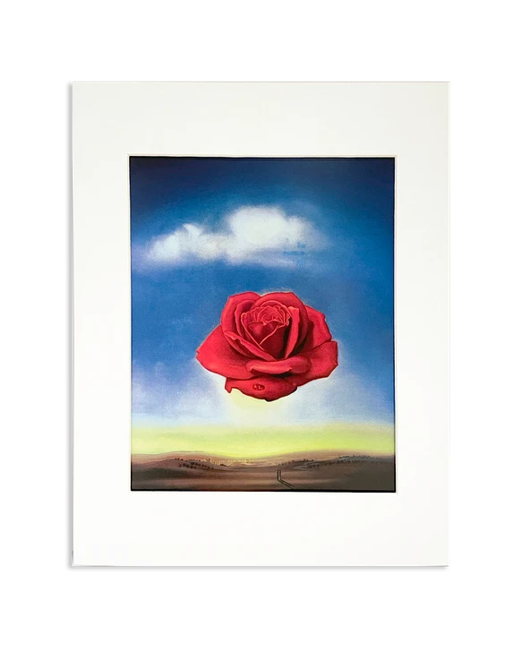 Dali The Meditative Rose 11x14 Matted Print