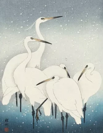 Herons in Snow Holiday Cards