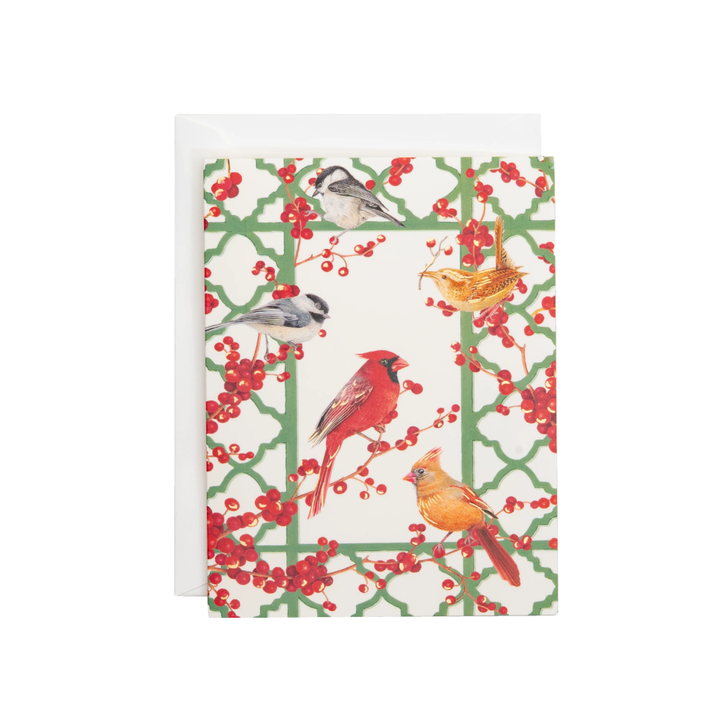 Birds and Berries Holiday Cards