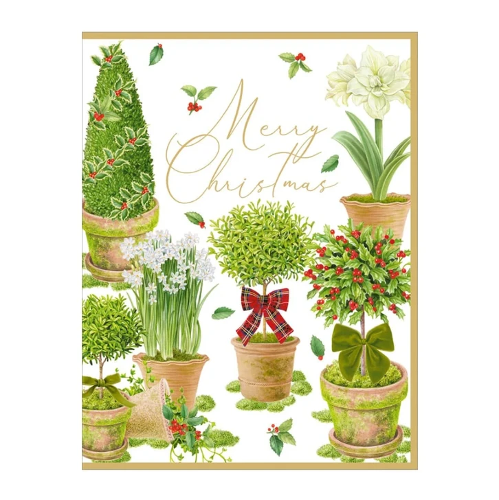 Winter Topiaries Holiday Cards