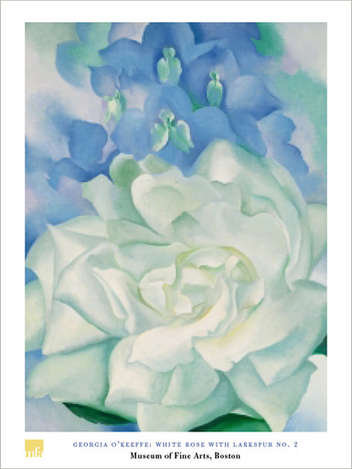 Georgia O'Keeffe, White Rose Poster