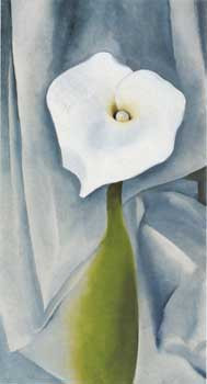 Calla Lily on Grey  11 x 14 Matted Print