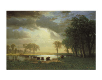 Bierstadt The Buffalo Trail 11x14  Matted Print