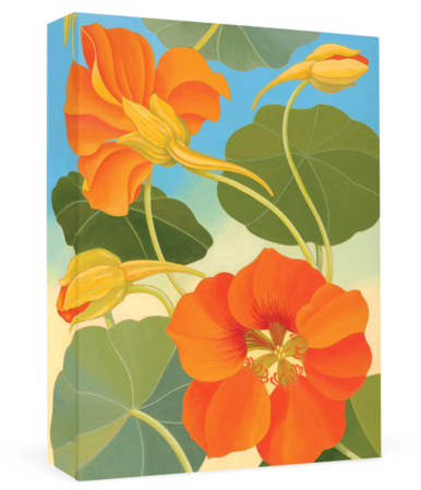 Siri Schillios Nasturtium Thank You Notes