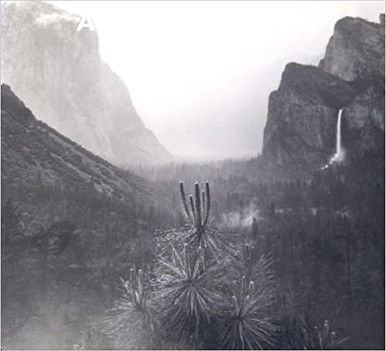 Ansel Adams: In the Lane Collection