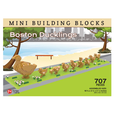 Boston Ducklings  Building Blocks