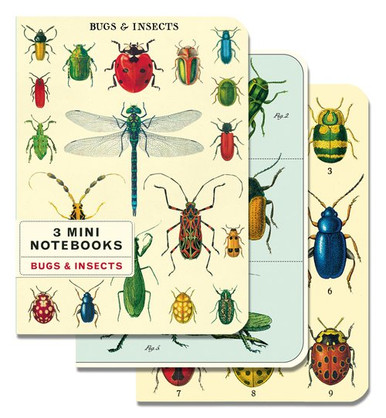 Bugs & insects Mini Notebooks Set of 3