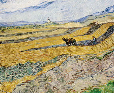 Van Gogh Enclosed Field with Ploughman 11x14 Matted Print