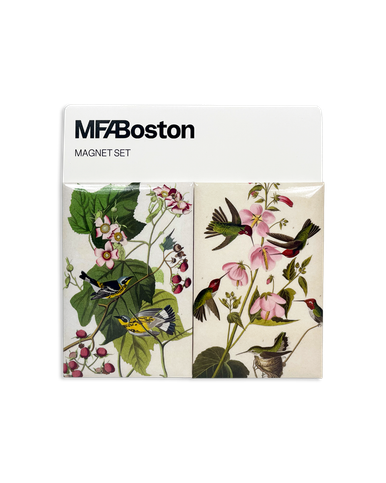 Audubon Magnet Set 2