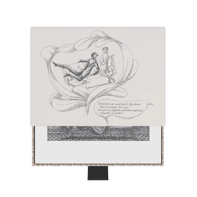 Gorey The Fraught Settee Boxed Notecards