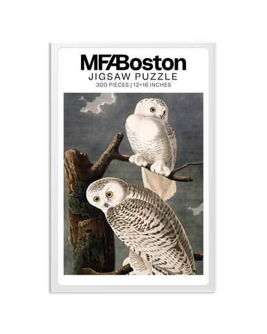 Audubon Snowy Owl 300 Piece Puzzle